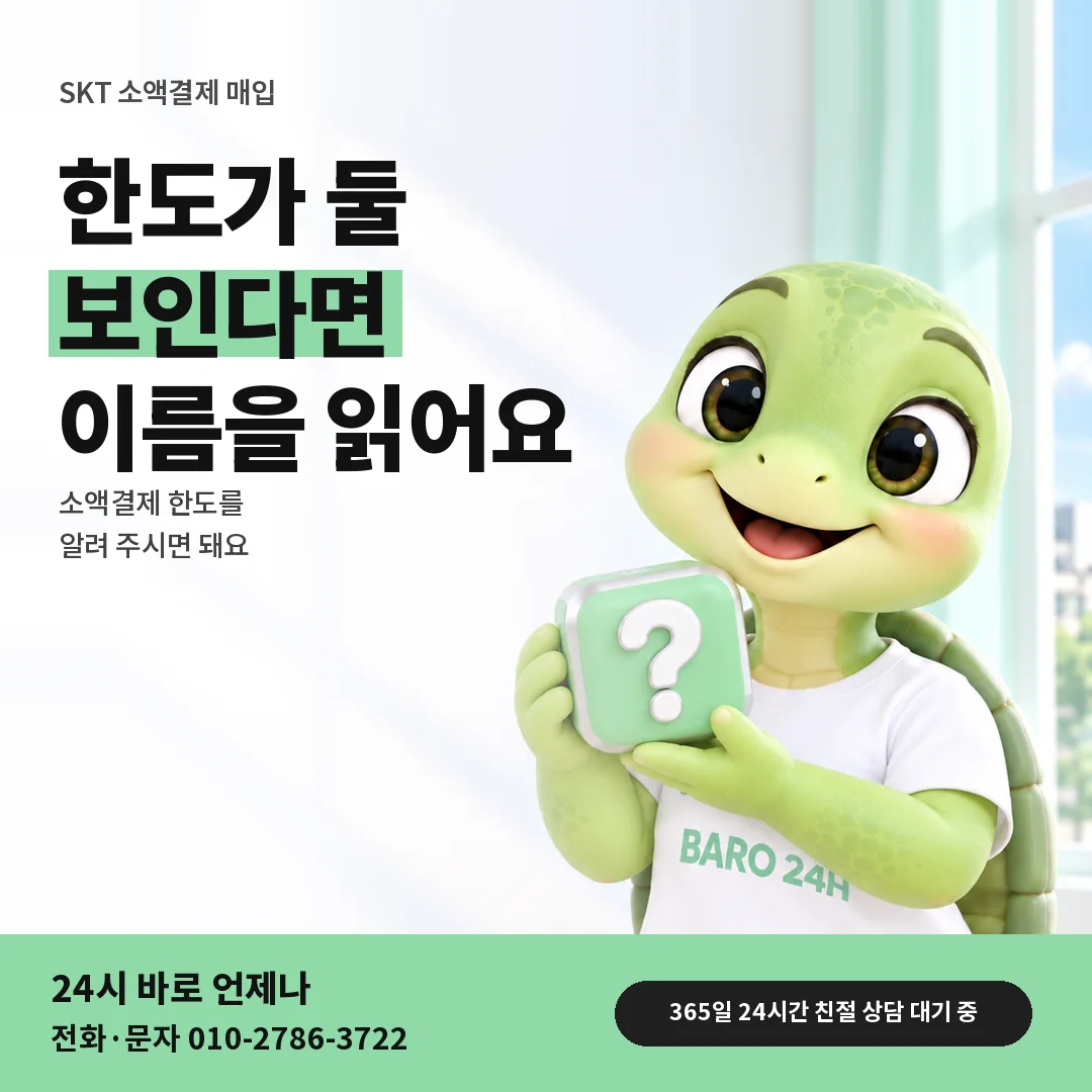 물음표 상자를 든 BARO 24H 티셔츠를 입은 3D 거북이 캐릭터 옆에 「SKT 두 한도 따로 보기」 제목을 얹은 안내 카드